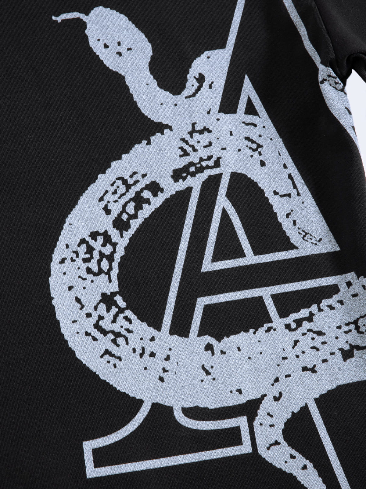 Aelfric Eden Boxy Snake Graphic Tee