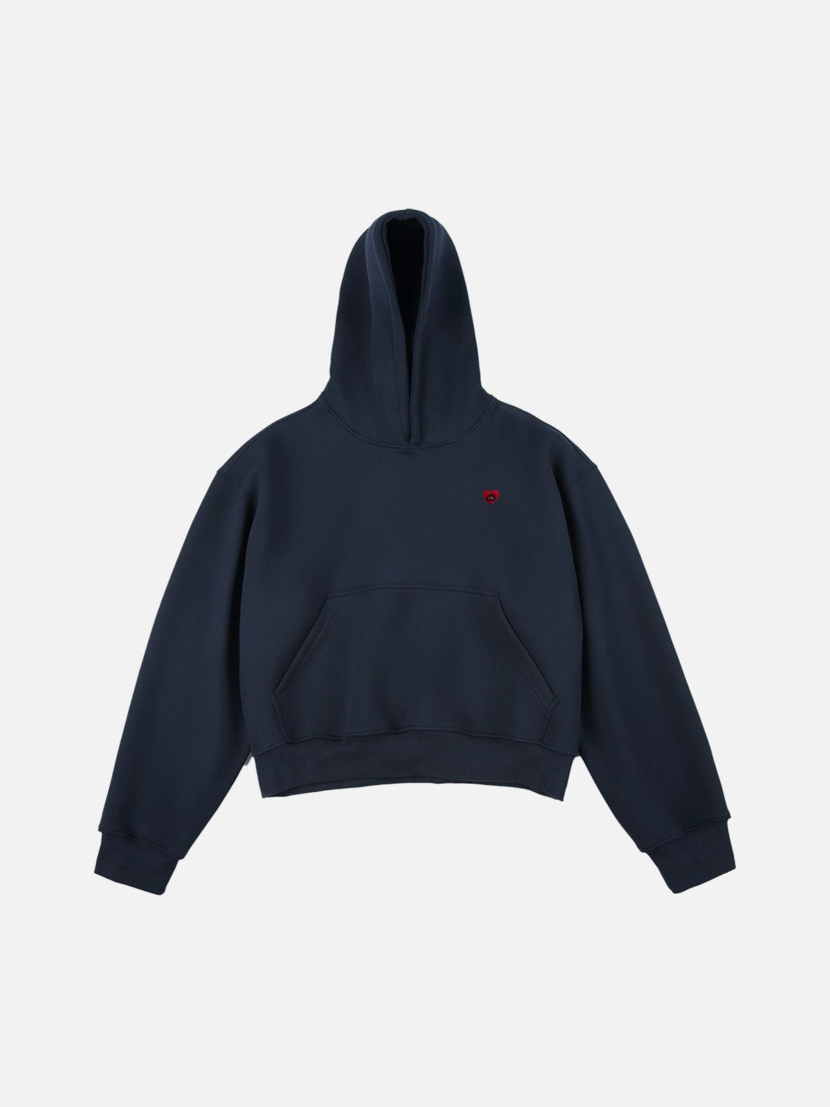 Aelfric Eden Solid Pullover V302 Boxy Hoodie
