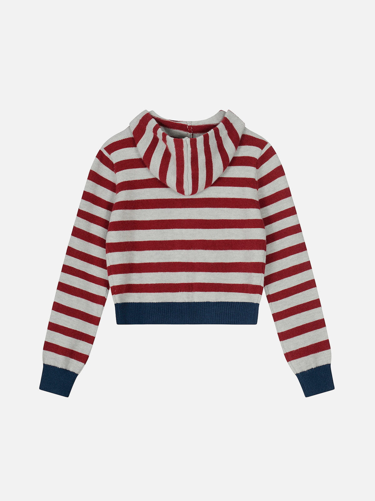 Sudadera con capucha y cremallera de punto a rayas Aelfric Eden