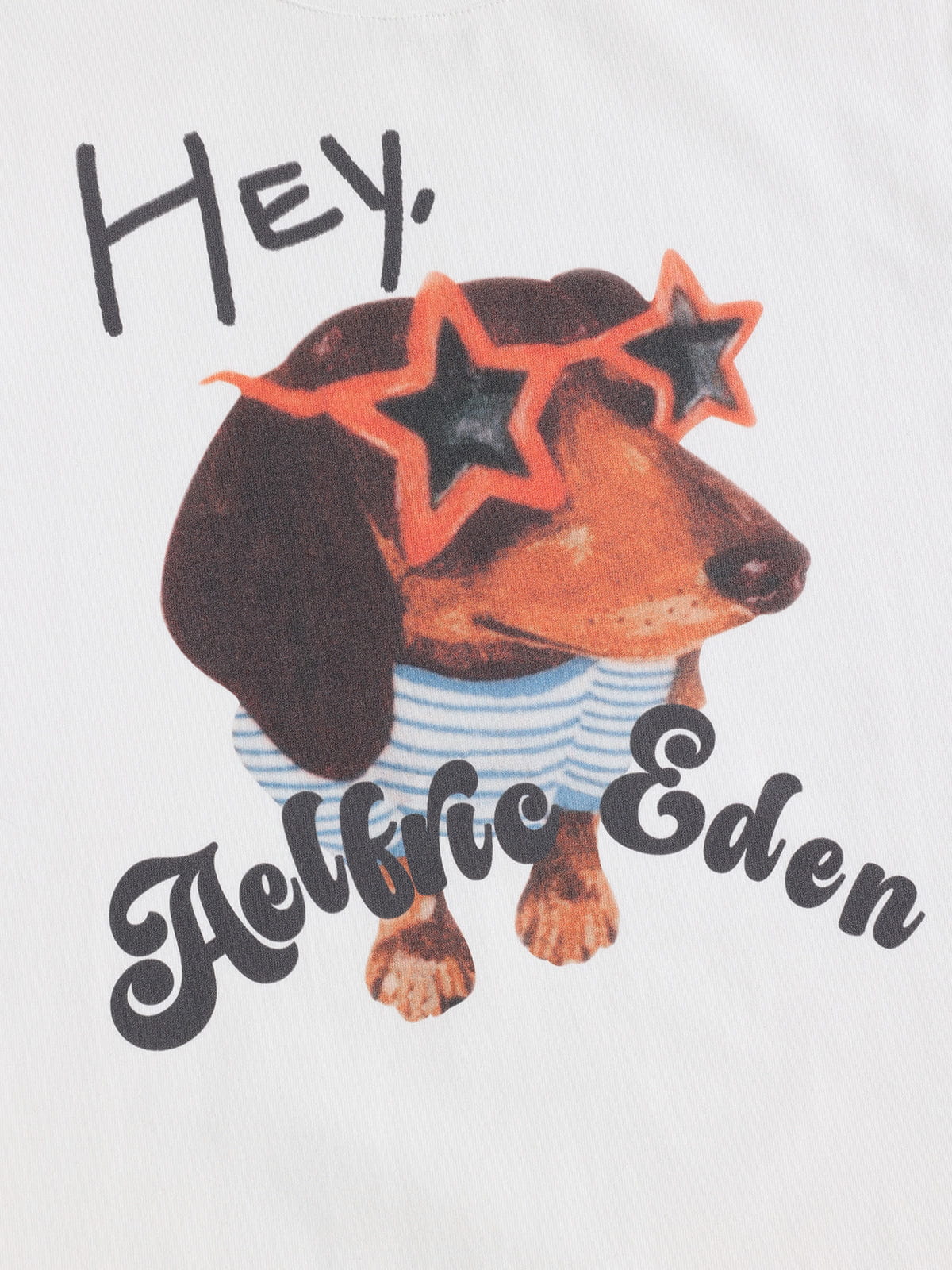 Aelfric Eden Dackel Grafik-T-Shirt