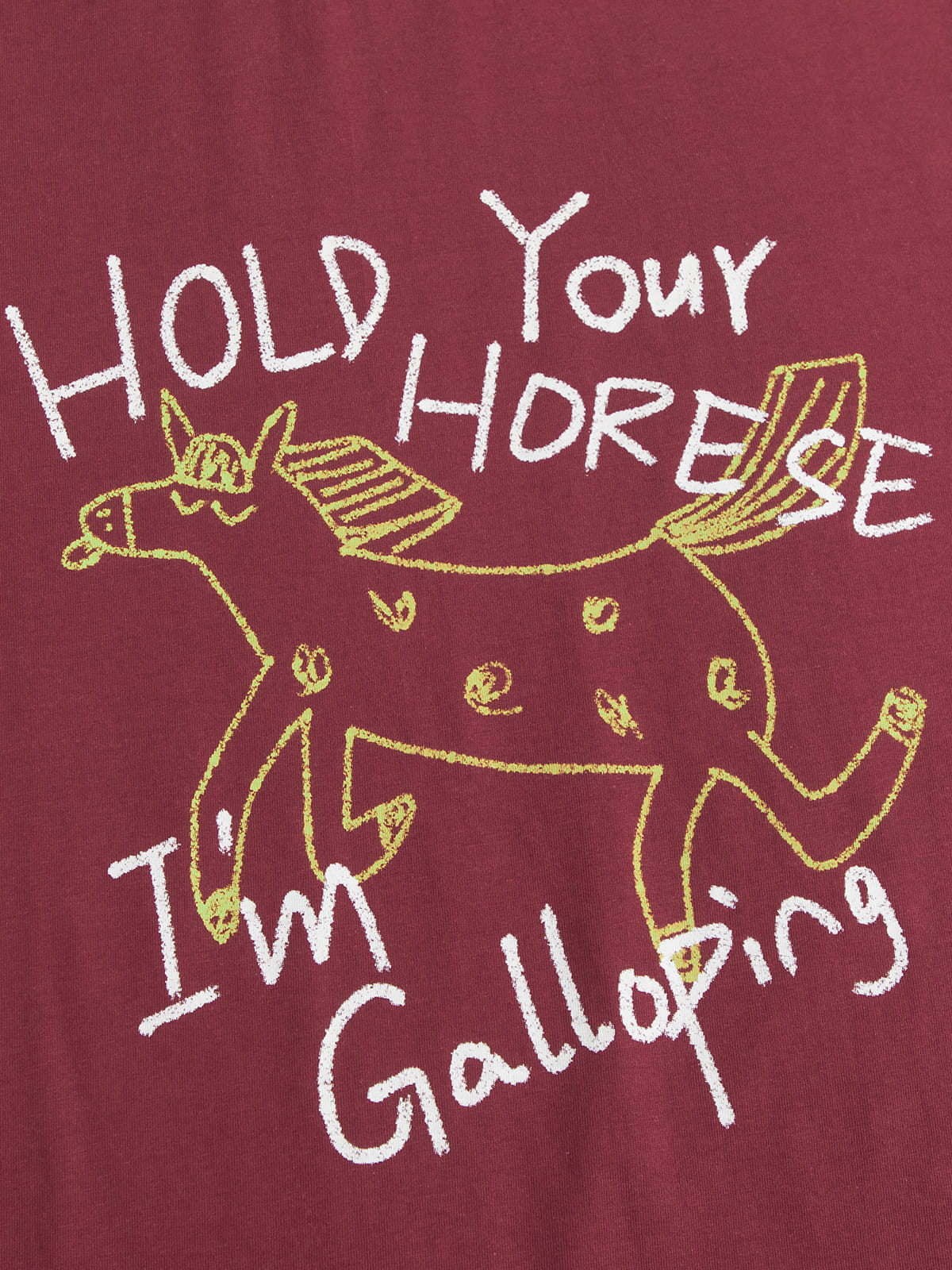 Aelfric Eden Horse Graphic Tee