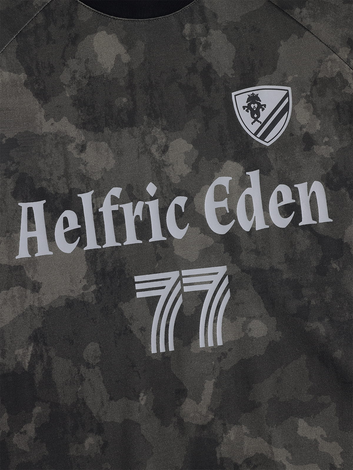 [Pre-Order] Aelfric Eden CAMO Graphic Tee