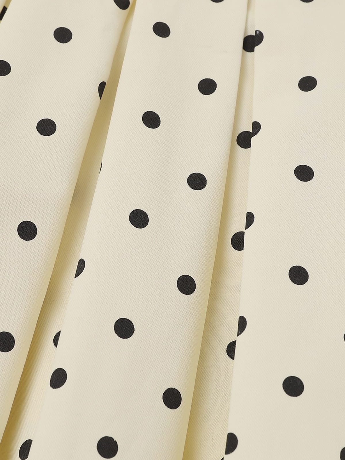 Aelfric Eden Polka Dot Pleated Skirt