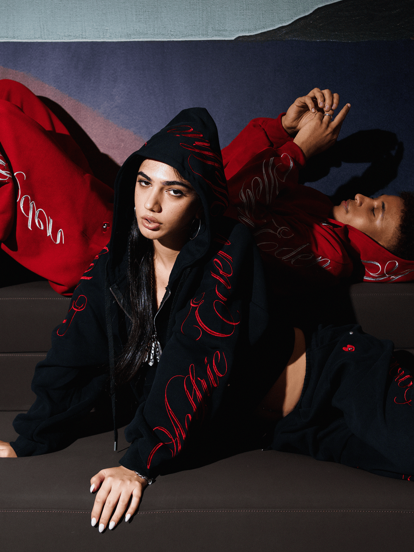 Aelfric Eden Boxy Embroidery Hoodie Sets