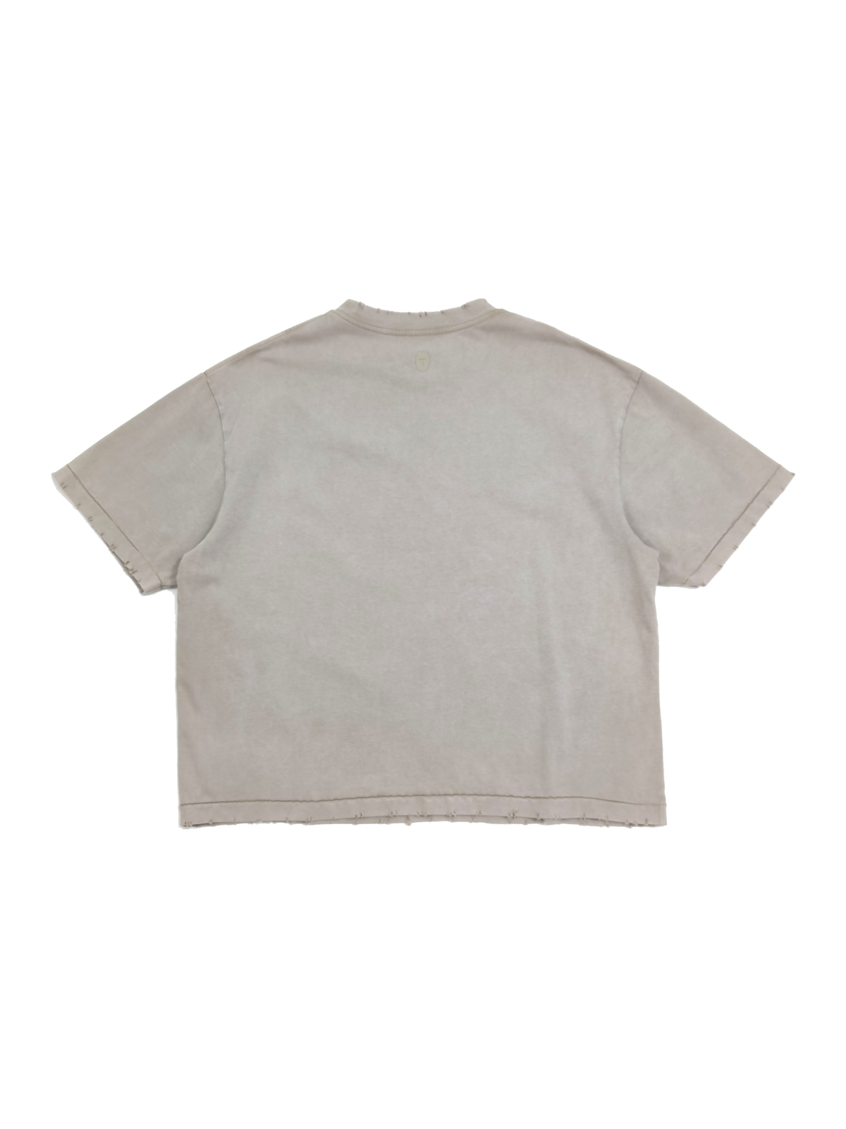 Snow-Washed Signature Heavyweight Tee product view 3